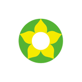 I-Contact 角色扮演及萬聖節 隱形眼鏡 Green Flower(半年拋/2片)